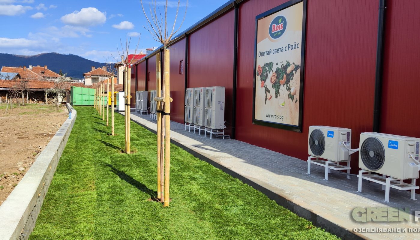 Озеленяване на Фреш маркет – гр. Ихтиман