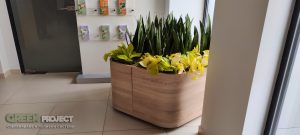 Интериорно озеленяване на Банка ДСК – Лозенец