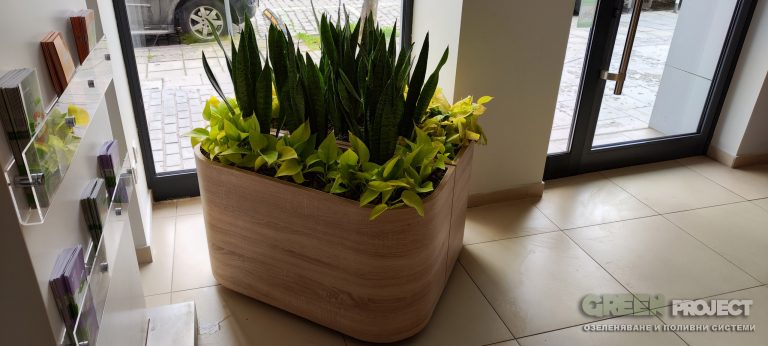 Интериорно озеленяване на Банка ДСК - Лозенец