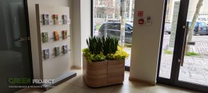 Интериорно озеленяване на Банка ДСК – Лозенец