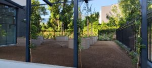 Озеленяване Stella tower