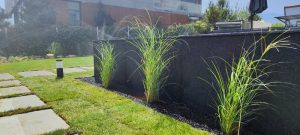 Озеленяване в Панчарево 3