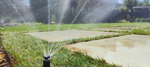 Озеленяване в Панчарево 3