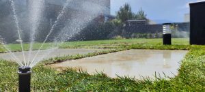 Озеленяване в Панчарево 3