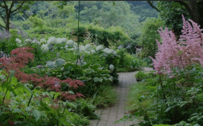 растения за сянка