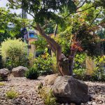 устойчиво озеленяване