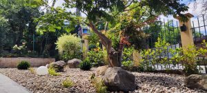 устойчиво озеленяване