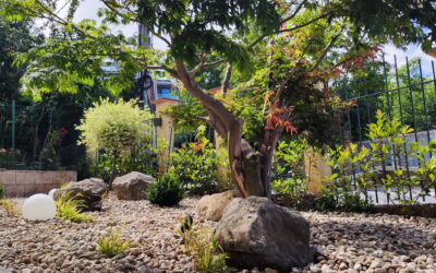 устойчиво озеленяване