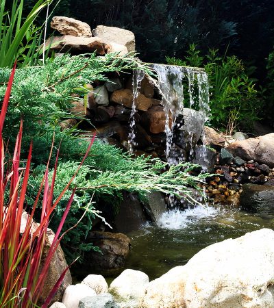 Водни площи