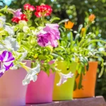 поливане на градина през лятото зелена тревна площ в жегите поддръжка на градина през лятото автоматична поливна система