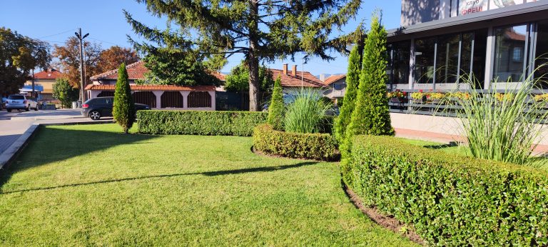 Озеленяване на двор – пълен наръчник за планиране, дизайн и изпълнение