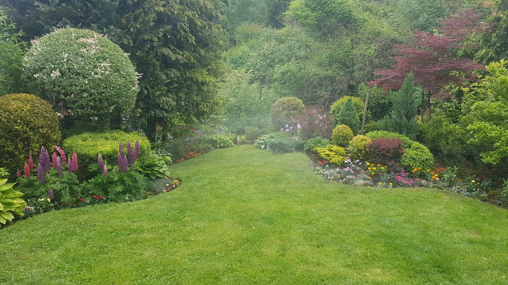 Озеленяване с ниска поддръжка – как да създадете двор без излишни усилия