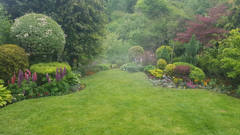 Озеленяване с ниска поддръжка – как да създадете двор без излишни усилия