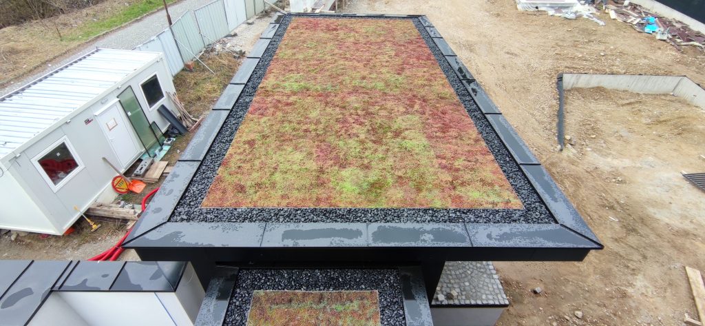 Покривно озеленяване със седуми – професионално решение за устойчиви, енергийно ефективни и екологични зелени покриви