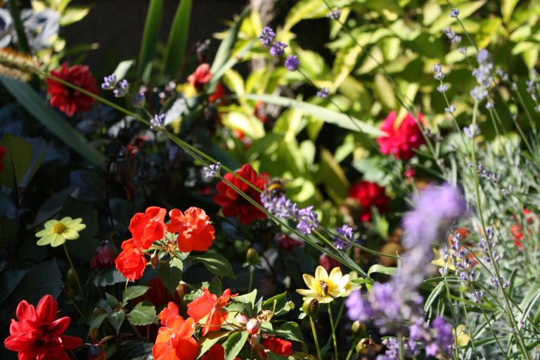 5 типа на цветно оформяне за впечатляващи градински визуализации